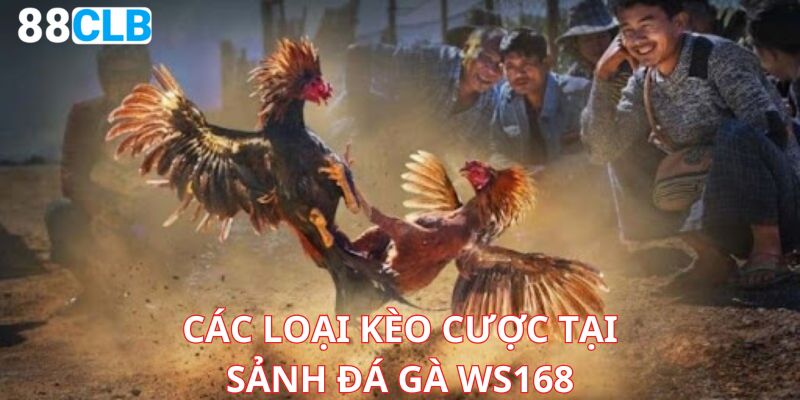 Đa dạng các loại kèo cược phong phú tại WS168