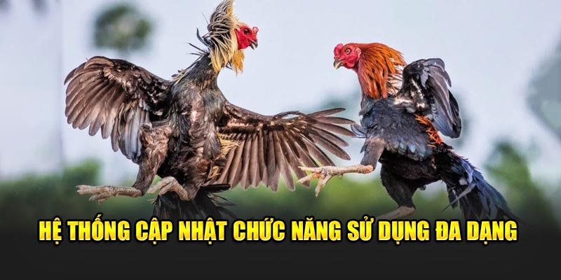 Hệ thống cập nhật chức năng sử dụng đa dạng 