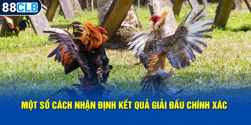 Một số cách nhận định kết quả giải đấu chính xác 